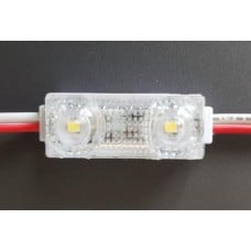 GOQ 2xLED module DC12V 60lm 0.48W IP68 6500K