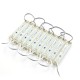 Module 3x LED SMD5050 12V IP65 cold white 