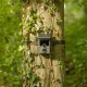 Camera trap - Camouflage EZ-Solar - WiFi - WildcameraXL