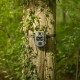 Camera trap - Camouflage EZ2 Ultra - WildcameraXL