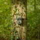 Camera trap - Camouflage SM4-PRO - WildcameraXL