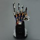 DFRobot Bionic Robot Hand - Bionic Robot Hand - Kairė - 500g