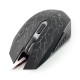 Optical mouse Esperanza Lightning EGM211R