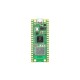 Raspberry Pi Pico W - RP2040 ARM Cortex M0+ CYW43439 - WiFi