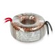 Toroidal transformer Indel TST35/001, 35W, 230V/12V 