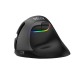 Wireless Vertical Mouse Delux M618Mini BT+2.4G RGB 4000DPI (black)