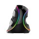 Wired vertical mouse Delux M618Plus 4000DPI RGB