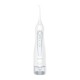 Electric toothbrush and irrigator with head sets FairyWill FW-507+FW-5020E - white