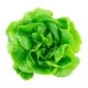 Seed kit pack aspara by GrowGreen - lettuce