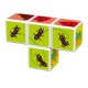 Magicube Printed Insects magnetic blocks + cards 7 elements GEOMAG GEO-121