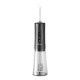 Sonic toothbrush with nozzle set and Irrigator Bitvae D2+C2 - black