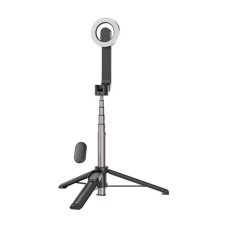 Telesin magnetic selfie stick