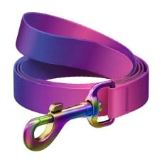 WAUDOG gradient nylon dog leash, 20mm wide, 122cm long, purple