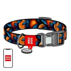 Waudog "Oranges" nylon dog collar with QR code, size S