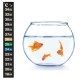 Strip thermometer for aquarium terrarium - 18-34˚C - self-adhesive