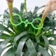 Clip for climbing plants - clip - 10 pcs - plastic clasp