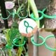 Clip for climbing plants - clip - 10 pcs - plastic clasp