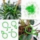 Clip for climbing plants - clip - 10 pcs - plastic clasp