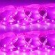 LED strip for illuminating plants 0.5 m - 5V - USB - full spectrum - for growing plants and flowers