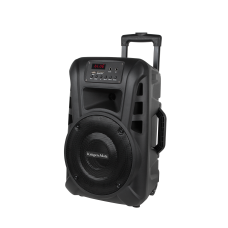 Active loudspeaker (with 2 UHF wireless microphones, SD, Bluetooth, FM, USB) 20 Watt