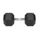 Rubberized cast iron dumbbell HEX 25 kg REBEL ACTIVE