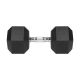 Rubberized cast iron dumbbell HEX 27.5 kg REBEL ACTIVE