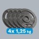 Set of cast iron weights 4x1.25kg, hole 31mm, plate with handles, REBEL ACTIVE