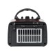 AM/FM BT BLOW RA10 solar portable analog radio