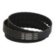 Toothed belt 440-H 075 z88