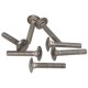 DIN 603 M5x20 A2 screw, stainless steel (100 pcs.)