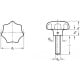 Rankenėlė GN 6336.5-AM-50-M10-20 – aliuminis, matinis