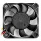 Fan 12V 50x50x10mm - with 3 wires