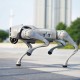 Go2 Ent Quadruped Robot - Unitree