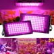 Led lamp for plants 50W 230V